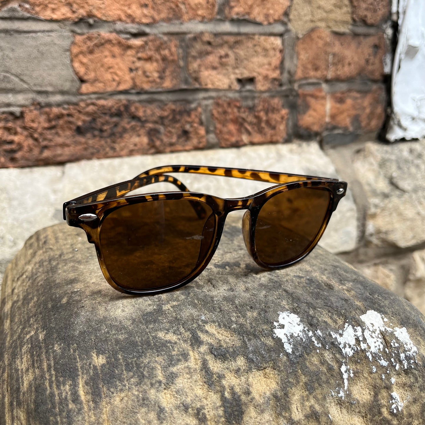 Square Sunglasses