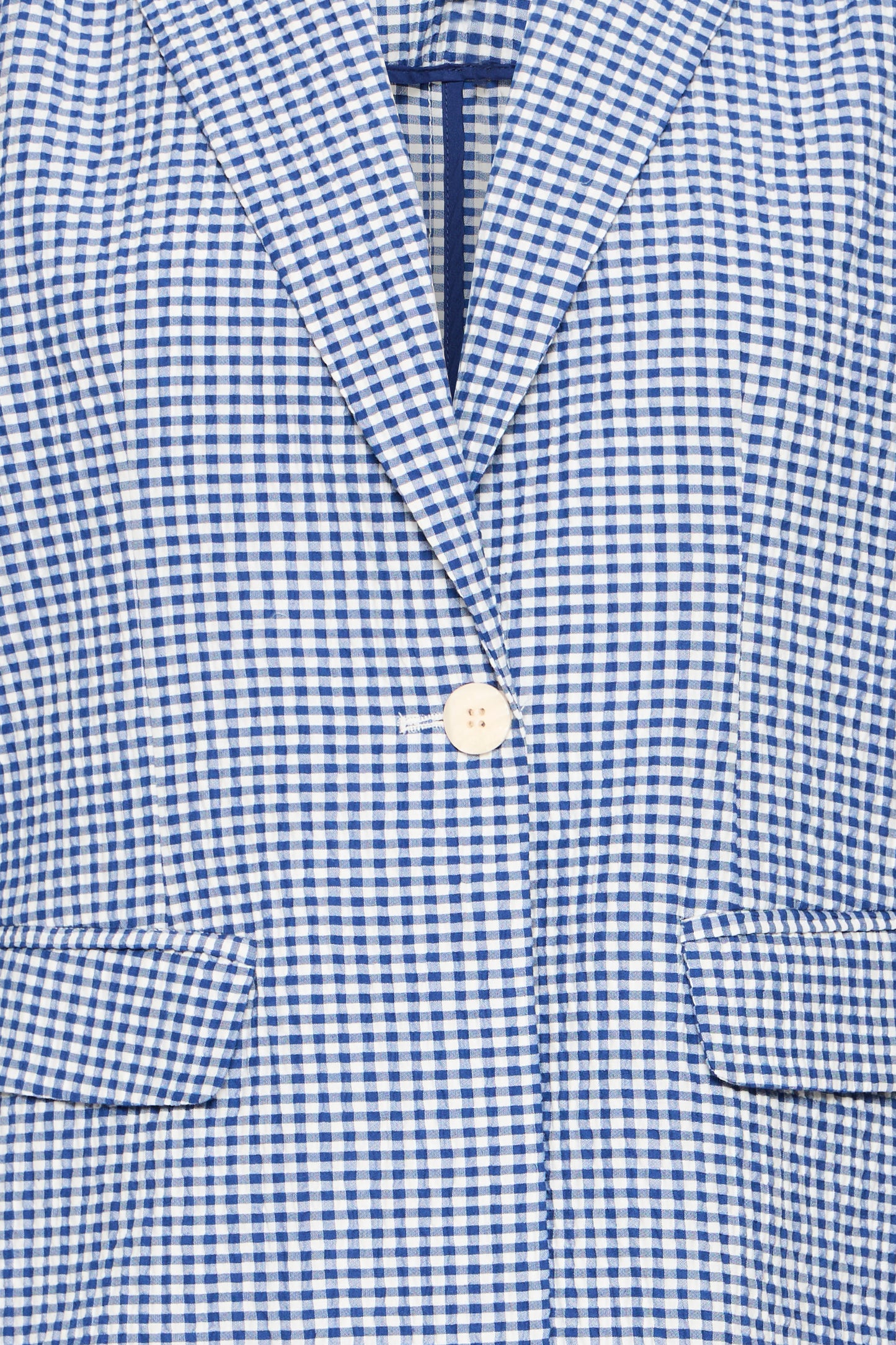 Ihjilma Blazer - Blue Gingham