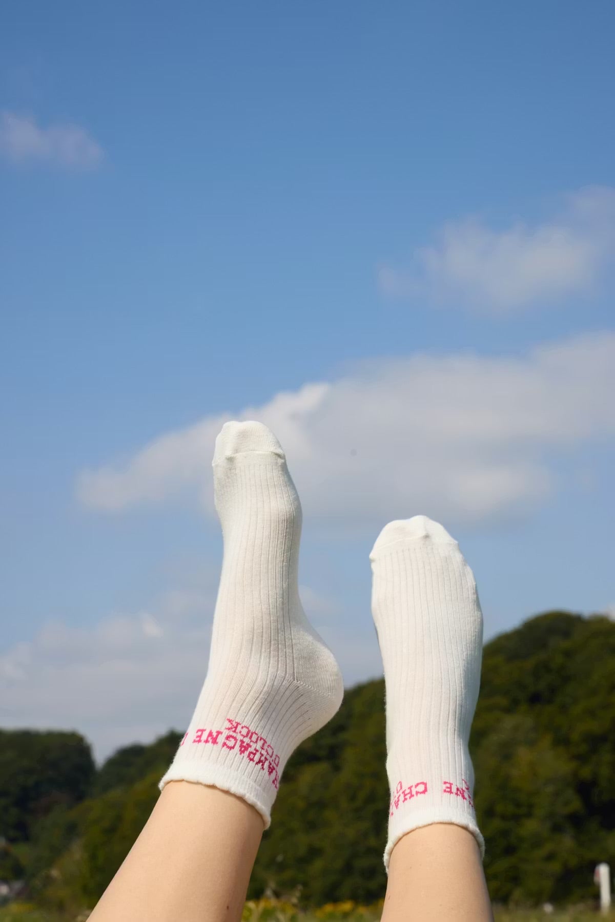 Iacille Socks - Champagne O’Clock