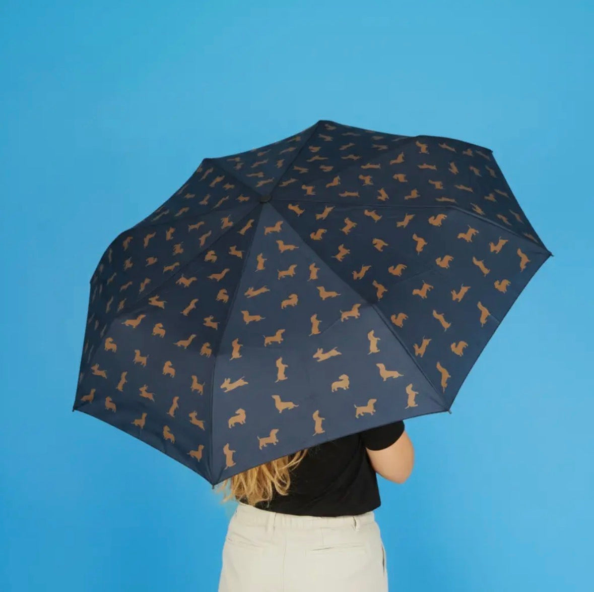 Black Dachshund Umbrella