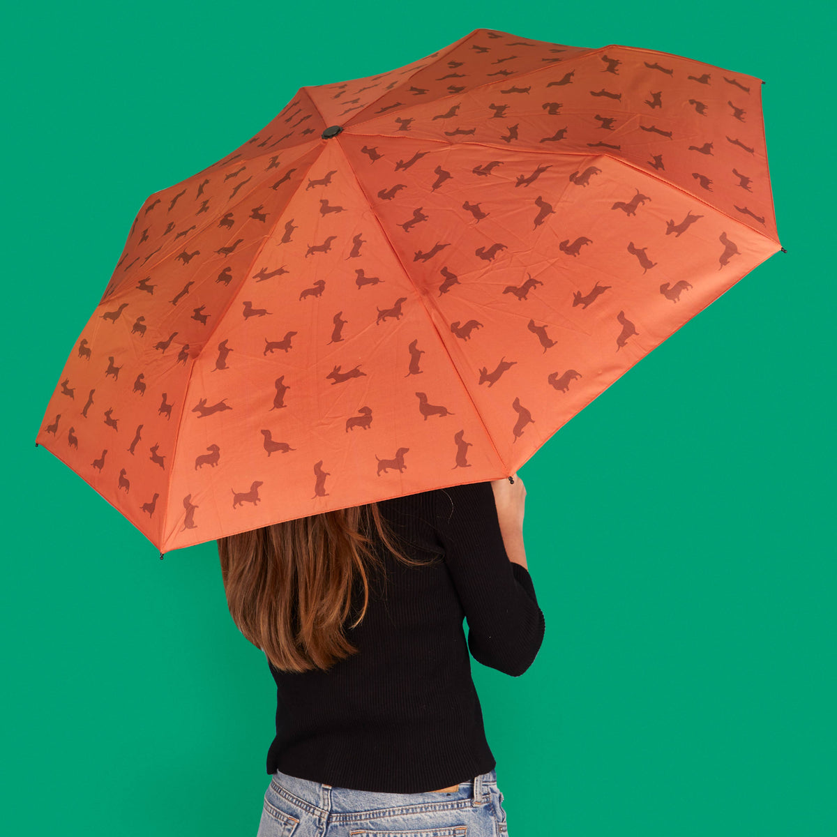 Umbrella - Festive Dachshund Brown