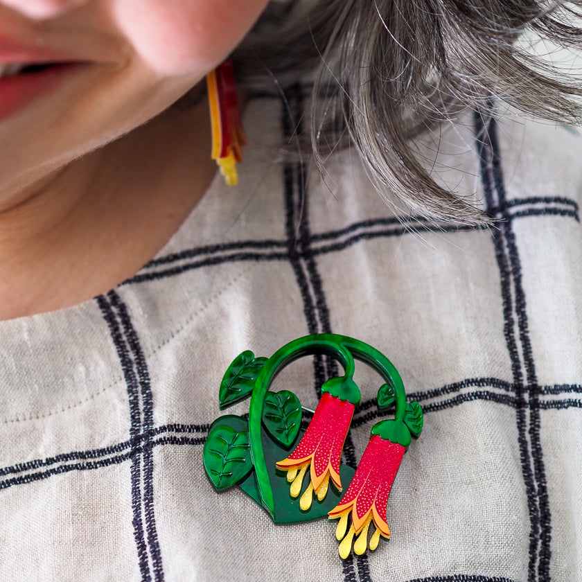 Common Correa Brooch