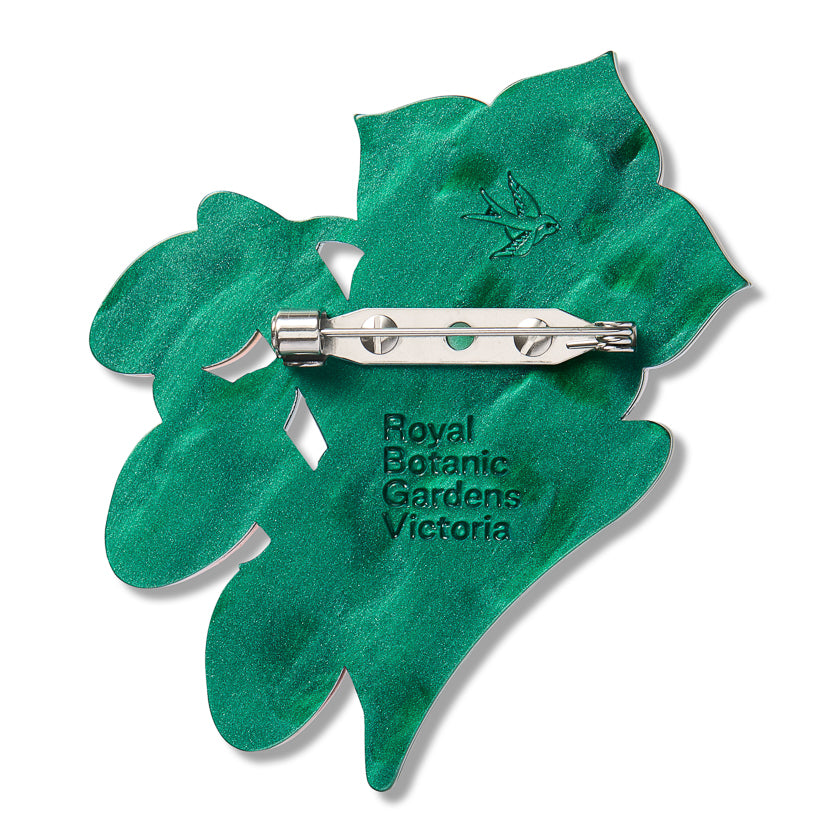 Kangaroo Apple Brooch