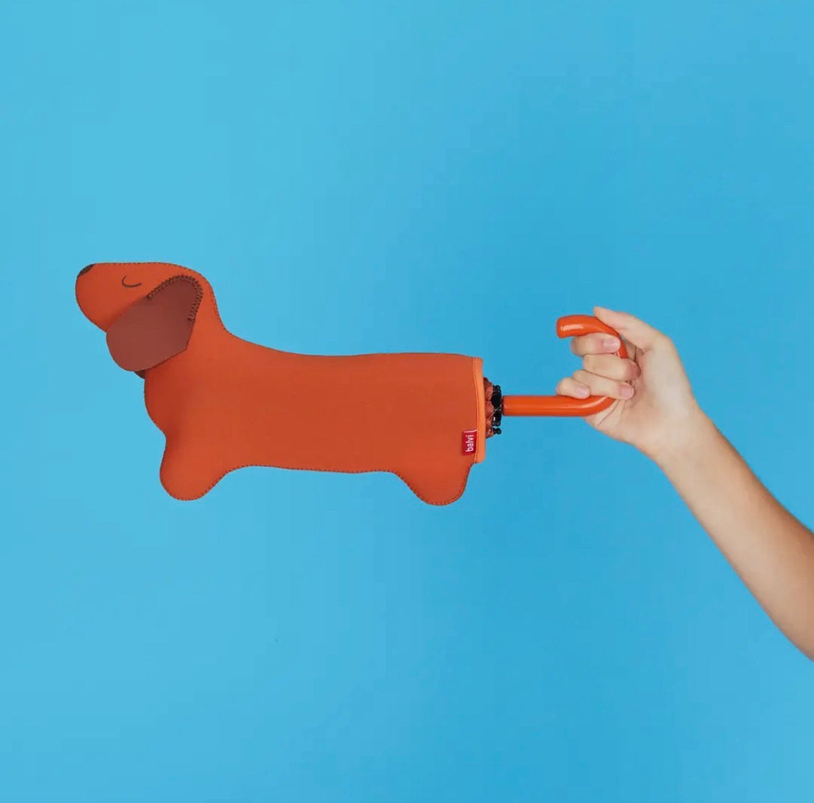 Brown Dachshund Dog Umbrella