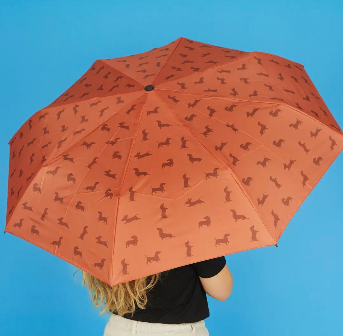 Brown Dachshund Dog Umbrella