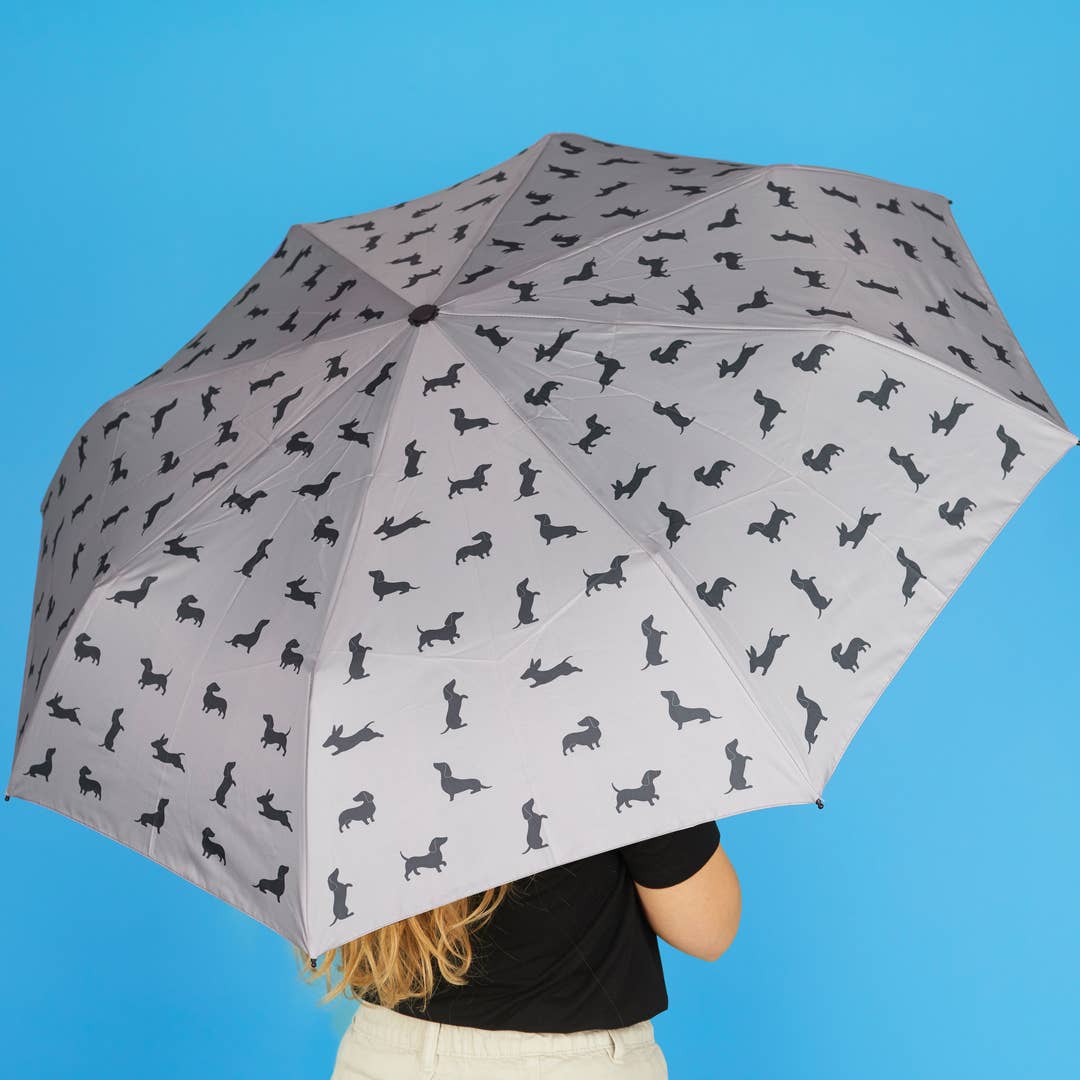 Grey Dachshund Umbrella