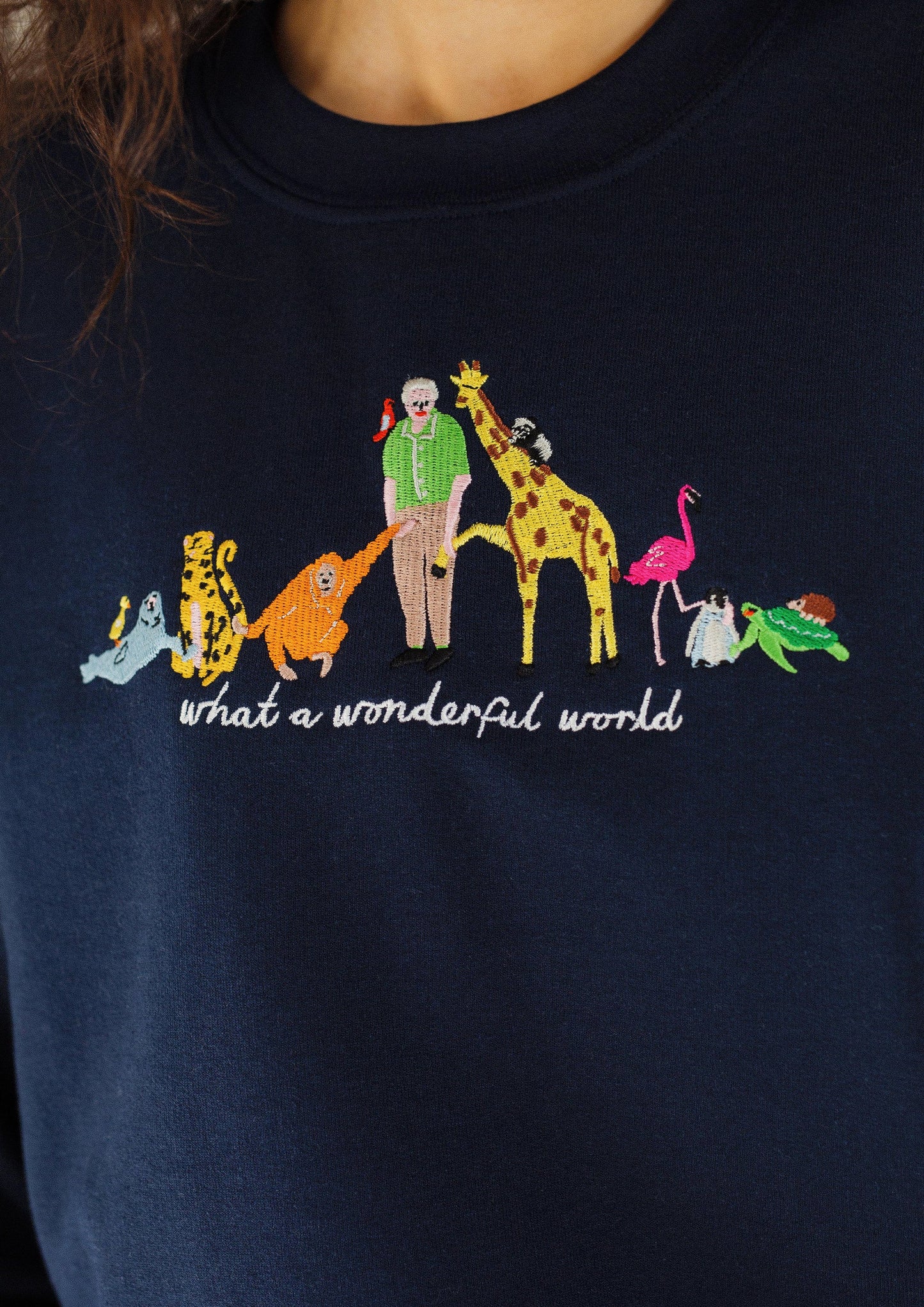 David Attenborough What A Wonderful World Embroidered Sweatshirt - Navy